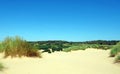 Beach at formby merseyside with dunes covered in marram grass and vegetation with forest landscape visible in the distance