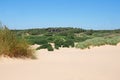 The beach at formby merseyside with dunes covered in marram grass and vegetation with forest landscape visible in the distance