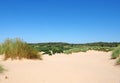 The beach at formby merseyside with dunes covered in marram grass and vegetation with forest landscape visible in the distance