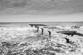 Beach in formentera black and white Royalty Free Stock Photo