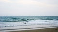 Evening beach of Italy