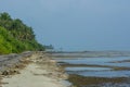 Beach full of sea grass and dead corals in the ocean at the tropical island Fenfushi Royalty Free Stock Photo