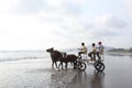 Beach Fun