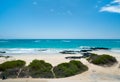 Beach on Galapagos Isabela island, Ecuador Royalty Free Stock Photo