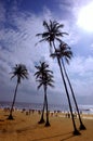 The beach of Goa-India.