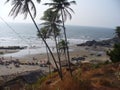 The beach in GOA - INDIA