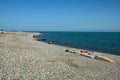 Beach goers sunbathe and relax at rocky Black Sea shore coastline Batumi Georgia