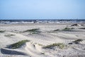 The Beach at Grand Isle, Louisiana Royalty Free Stock Photo