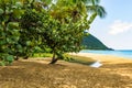 Beach Grande Anse by Deshaies, Guadeloupe