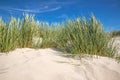 Beach grass on the beach at St. Peter Ording Royalty Free Stock Photo