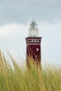 Beach grass with the blurred lighthouse Westhoofd in Ouddorp