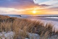 Beach grass on dune, Baltic sea at sunset