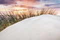 Beach grass on dune, Baltic sea at sunset