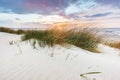 Beach grass on dune, Baltic sea at sunset