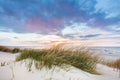 Beach grass on dune, Baltic sea at sunset