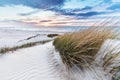 Beach grass on dune, Baltic sea at sunset