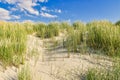 Beach Grass on Dune in Langeoog Germany Royalty Free Stock Photo