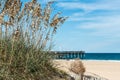 Beach Grass and Dunes with Fishing Pier at Sandbridge