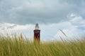 Beach grass with lighthouse Westhoofd in Ouddorp in the Netherlands