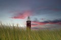 Beach grass with lighthouse Westhoofd in Ouddorp with copy space