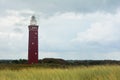 Beach grass with lighthouse Westhoofd in Ouddorp in landscape