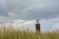 Beach grass with lighthouse Westhoofd in Ouddorp with many copy space