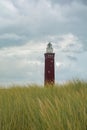 Beach grass with lighthouse Westhoofd in Ouddorp in the Netherlands