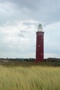 Beach grass with lighthouse Westhoofd in Ouddorp in the Netherlands