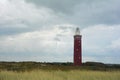 Beach grass with lighthouse Westhoofd on the right, in Ouddorp in the Netherlands