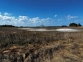 The Grass Marshes at Cape Henlopen State Park