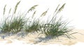 Beach Grass on Sand Dunes Generative AI Royalty Free Stock Photo