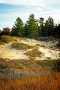 beach grass and sand dunes pinery provincal park in autumn