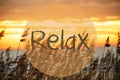 Beach Grass At Sunrise Or Sunset, Text Relax Royalty Free Stock Photo