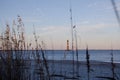 Beach grasses and reeds form a natural frame with the Morris Island Lighthouse in SC Royalty Free Stock Photo