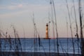 Beach grasses and reeds form a natural frame with the Morris Island Lighthouse in SC