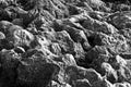 Beach and gray reef nature on beach