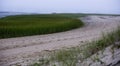 Beach with green grass in Wellfleet MA on Cape Cod Royalty Free Stock Photo