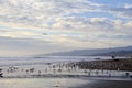 Beach, gulls, ocean and couple holding hands