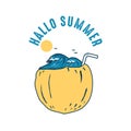 Beach Hallo Summer Vocation Vector Illustration