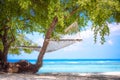 A beach hammock in the gili islands,bali 3