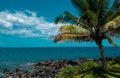 Beach in Hawaii, Dream landscape. Paradise Sunny beach with turquoise sea. Summer vacation and tropical beach concept.