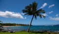 Beach in Hawaii, Dream landscape. Paradise Sunny beach with turquoise sea. Summer vacation and tropical beach concept.