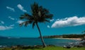 Beach in Hawaii, Dream landscape. Paradise Sunny beach with turquoise sea. Summer vacation and tropical beach concept.