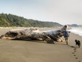 Beach Hike