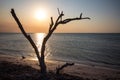 Beach at Holbox Island Mexico Royalty Free Stock Photo