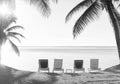 Beach Holiday Deckchairs Black and White Royalty Free Stock Photo