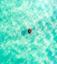 Beach holiday top view of a turtle in the turquoise ocean