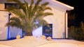 Beach home mansion entrance in a tropical location with palm tree