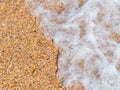 Beach background: sea wave and shell rock Royalty Free Stock Photo