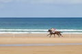 Beach horse race Royalty Free Stock Photo